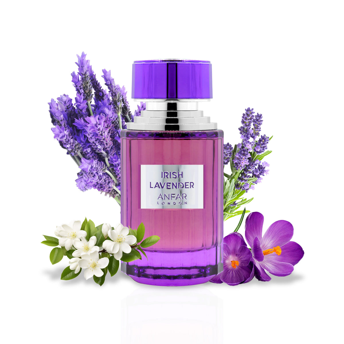 Irish Lavender by Anfar London