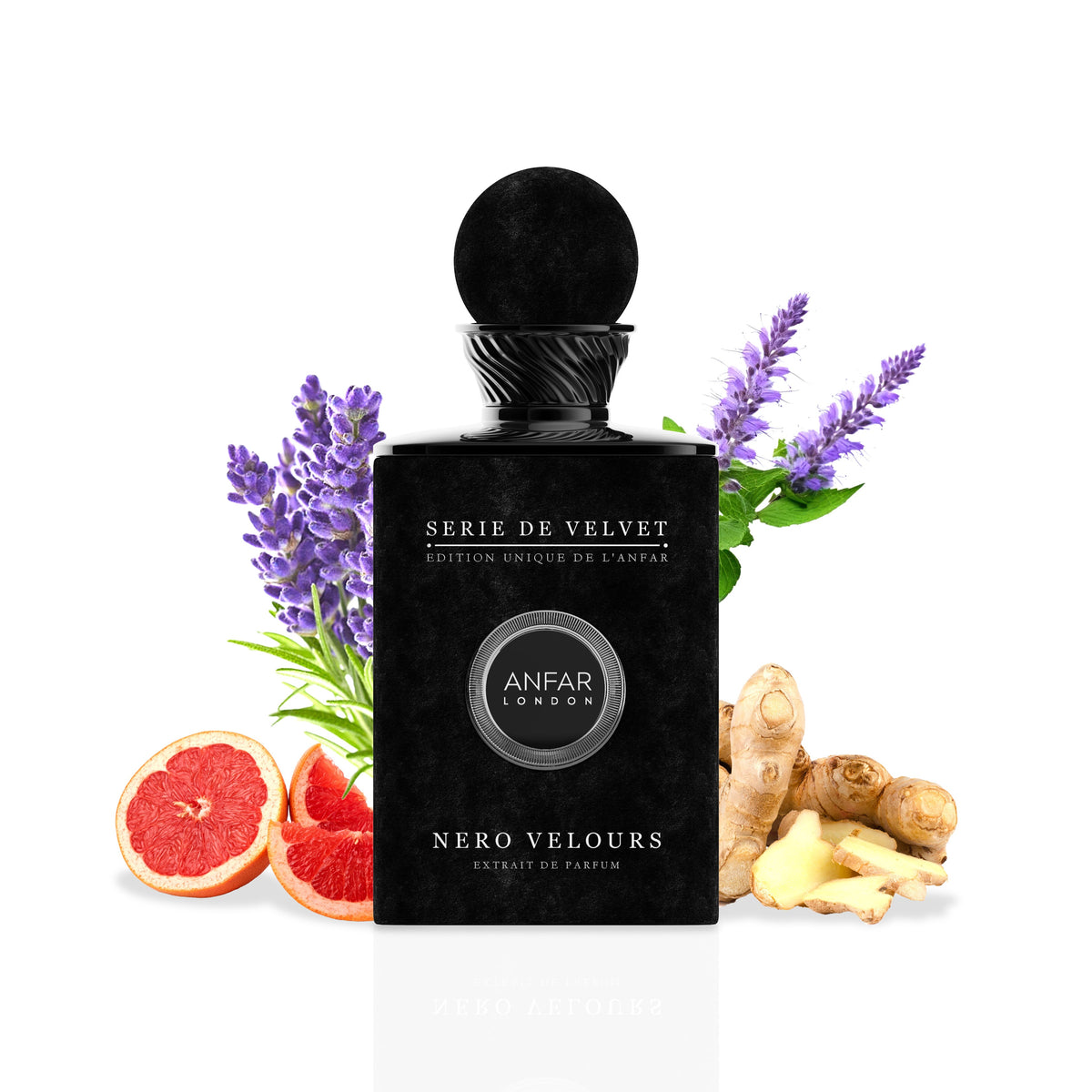 Nero Velours by Anfar London