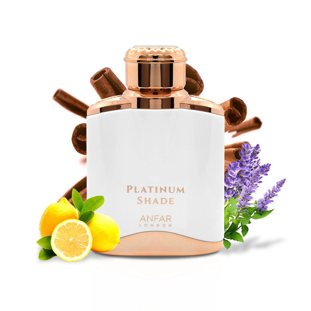 Platinum Shade Women by Anfar London