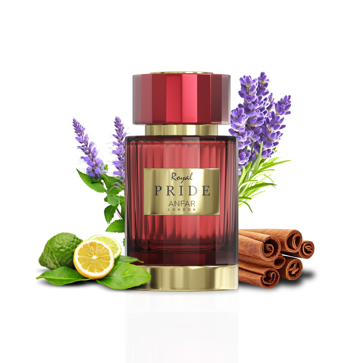 Royal Pride by Anfar London