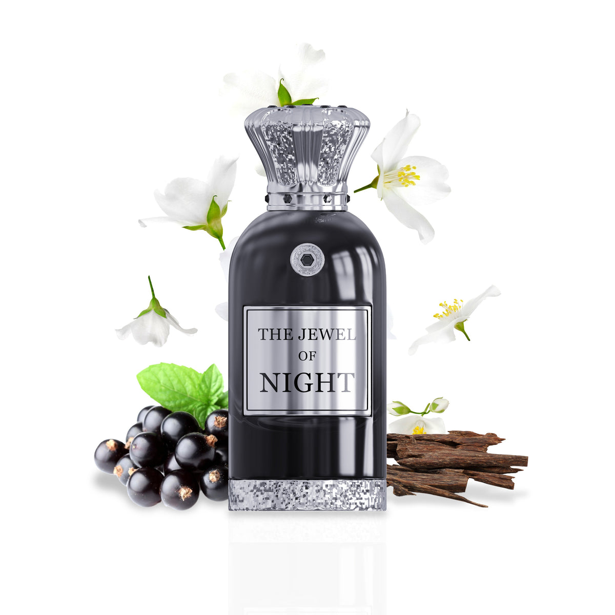 The Jewel of Night by Anfar London